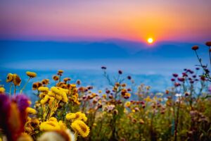 Mae Taeng Safety Travel Guide: Tips, Precautions & Eco-Tours